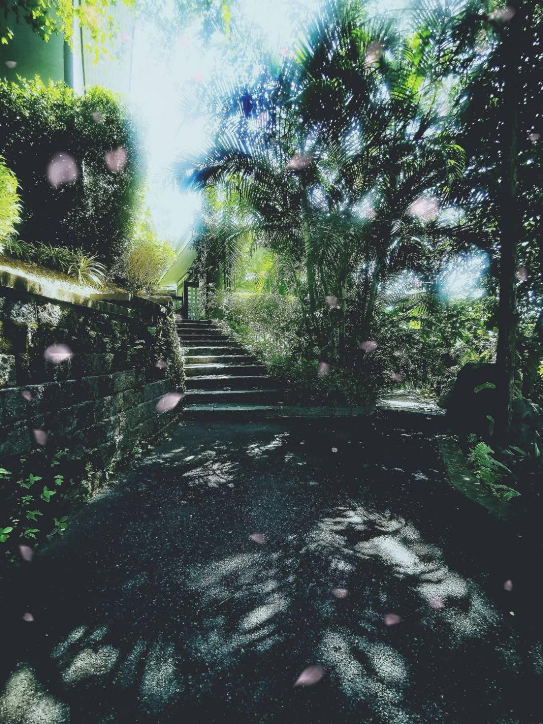 Bangnu Greenery Resort Takua Thung ภายนอก รูปภาพ
