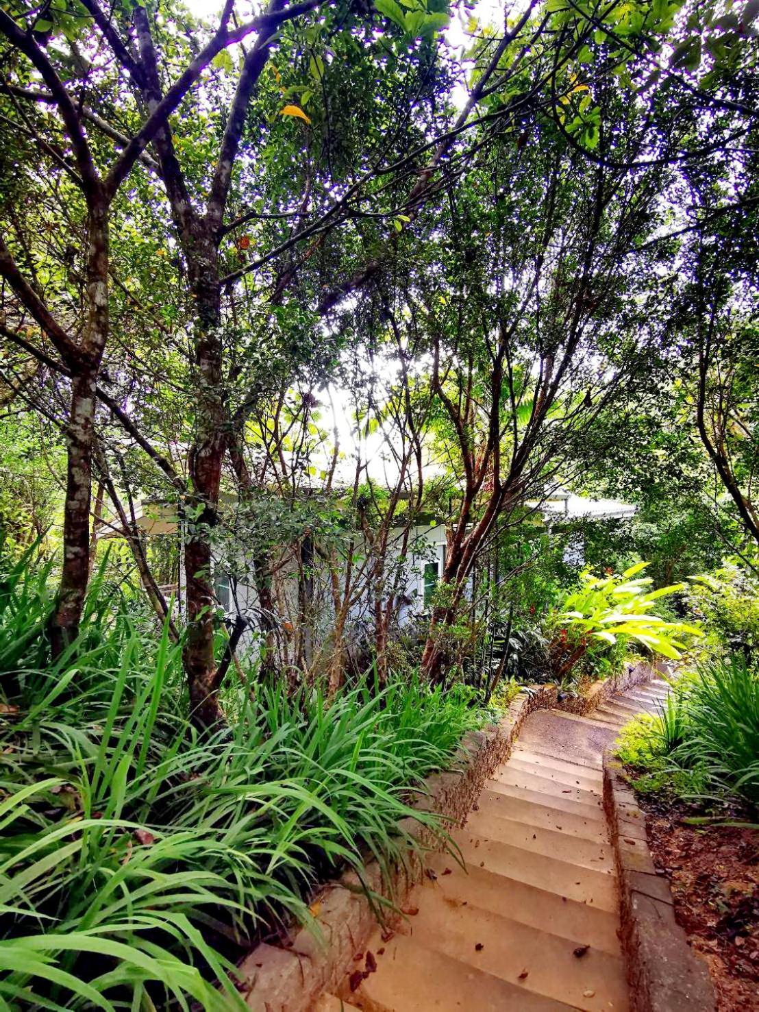 Bangnu Greenery Resort Takua Thung ภายนอก รูปภาพ