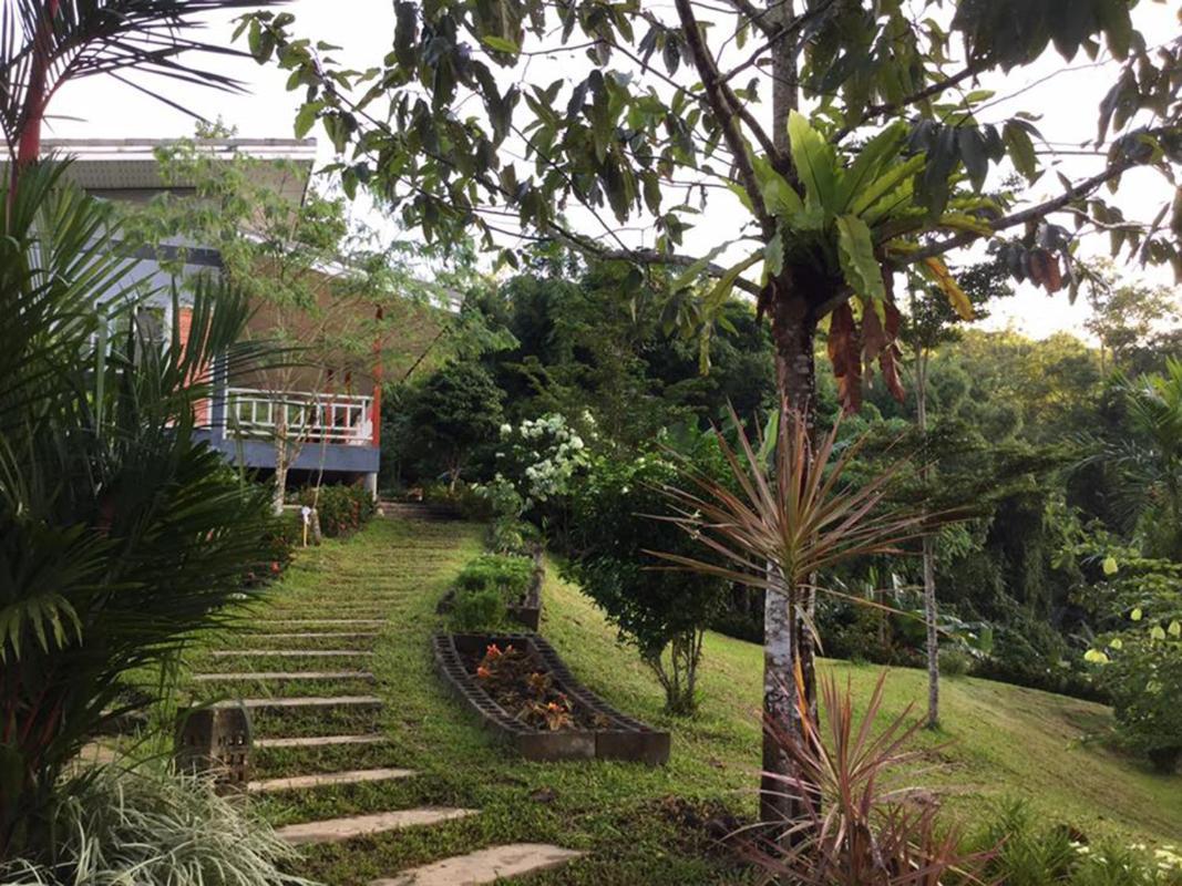 Bangnu Greenery Resort Takua Thung ภายนอก รูปภาพ