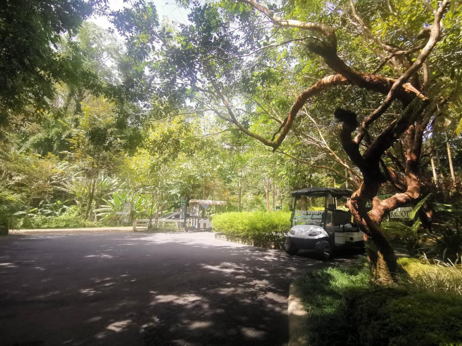 Bangnu Greenery Resort Takua Thung ภายนอก รูปภาพ