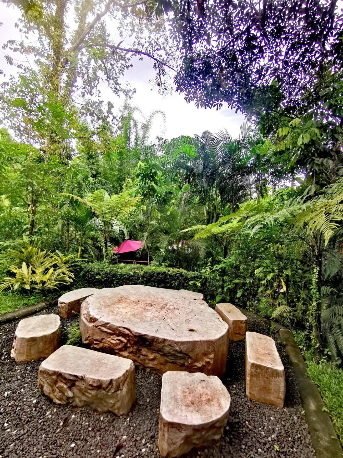 Bangnu Greenery Resort Takua Thung ภายนอก รูปภาพ