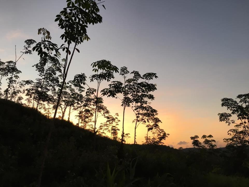 Bangnu Greenery Resort Takua Thung ภายนอก รูปภาพ